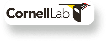 Cornell Lab of Ornithology logo