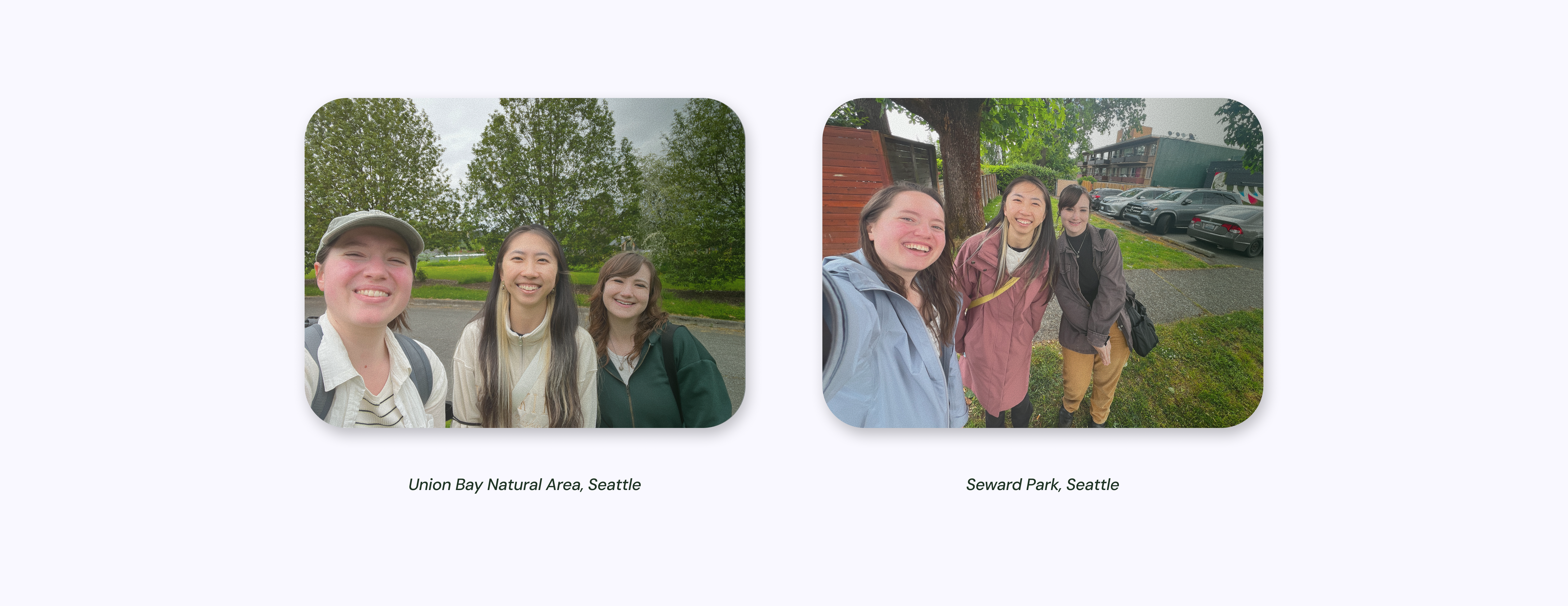 Field observations with BLV and novice sighted birders during outdoor birding outings