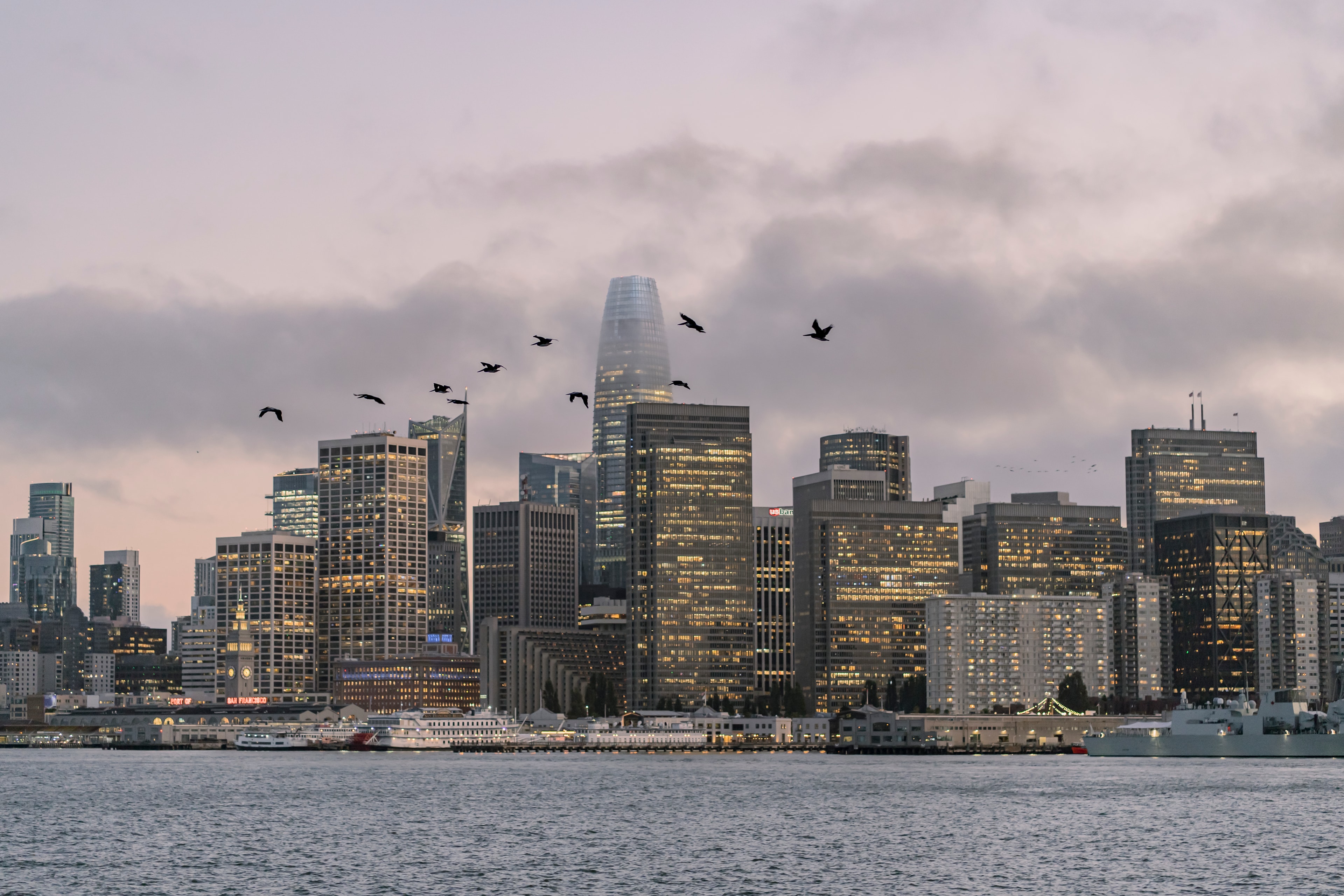 San Francisco skyline with birds in flight