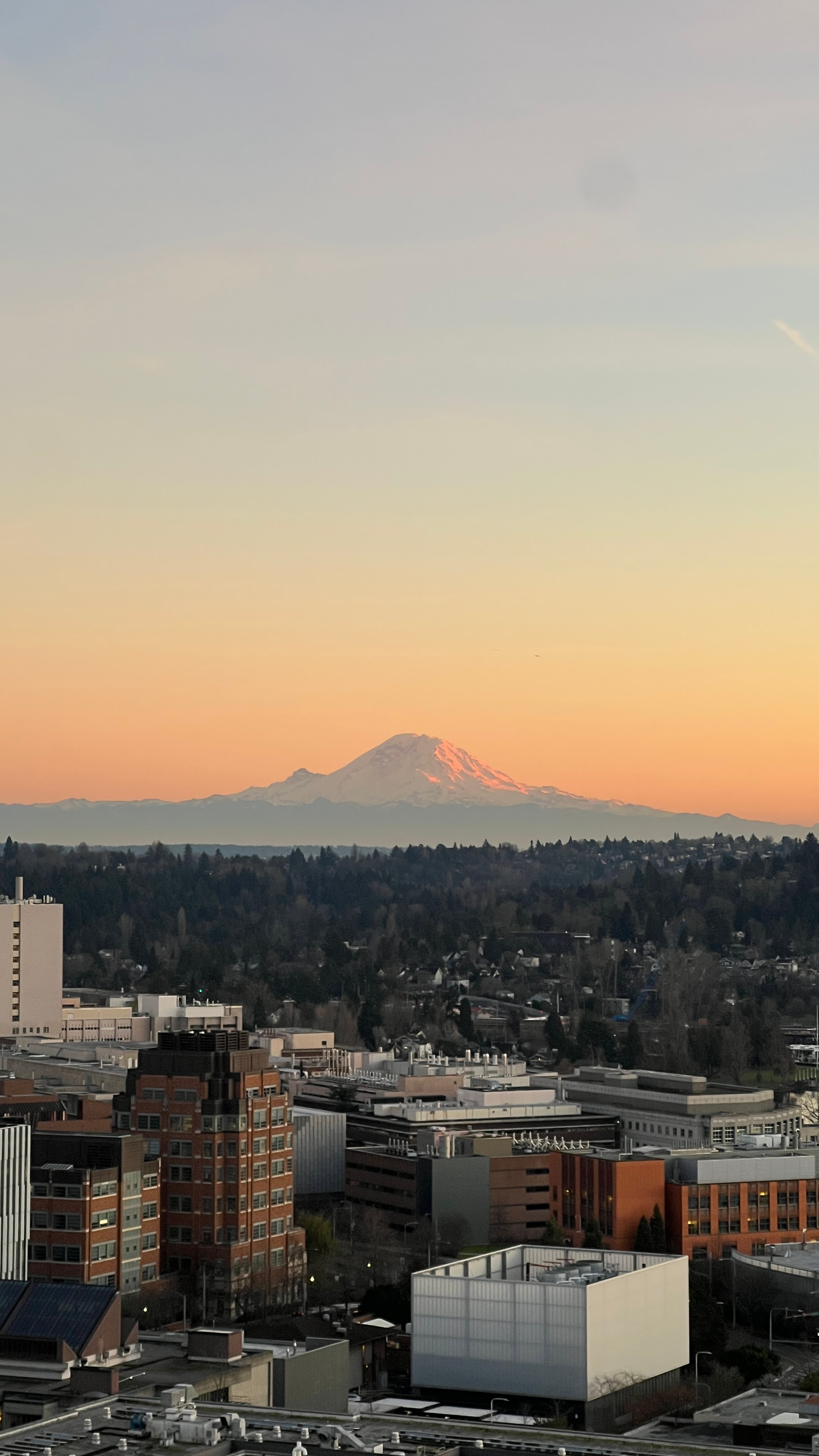 Mount Rainier glowing at sunset over the city