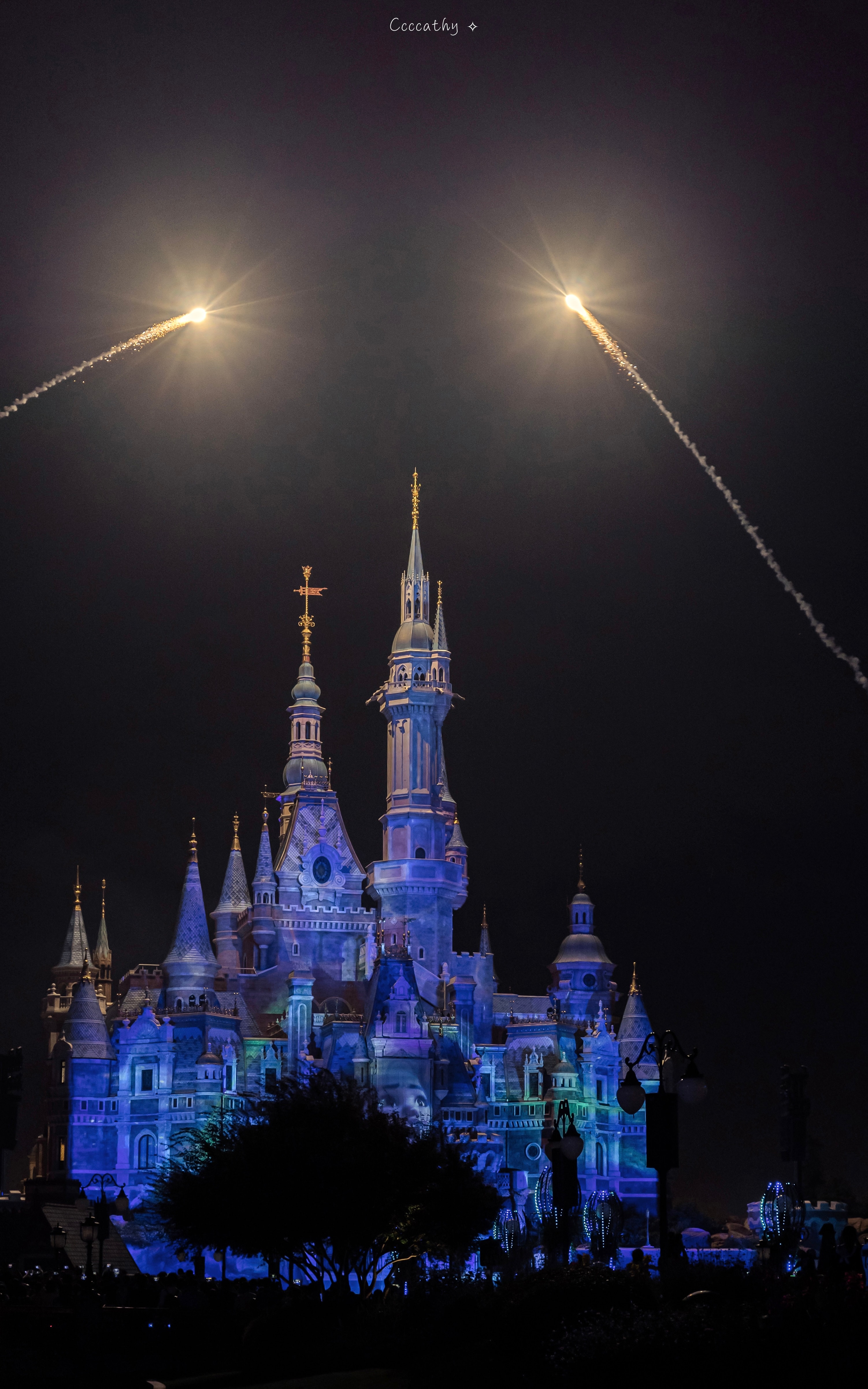 Disneyland castle