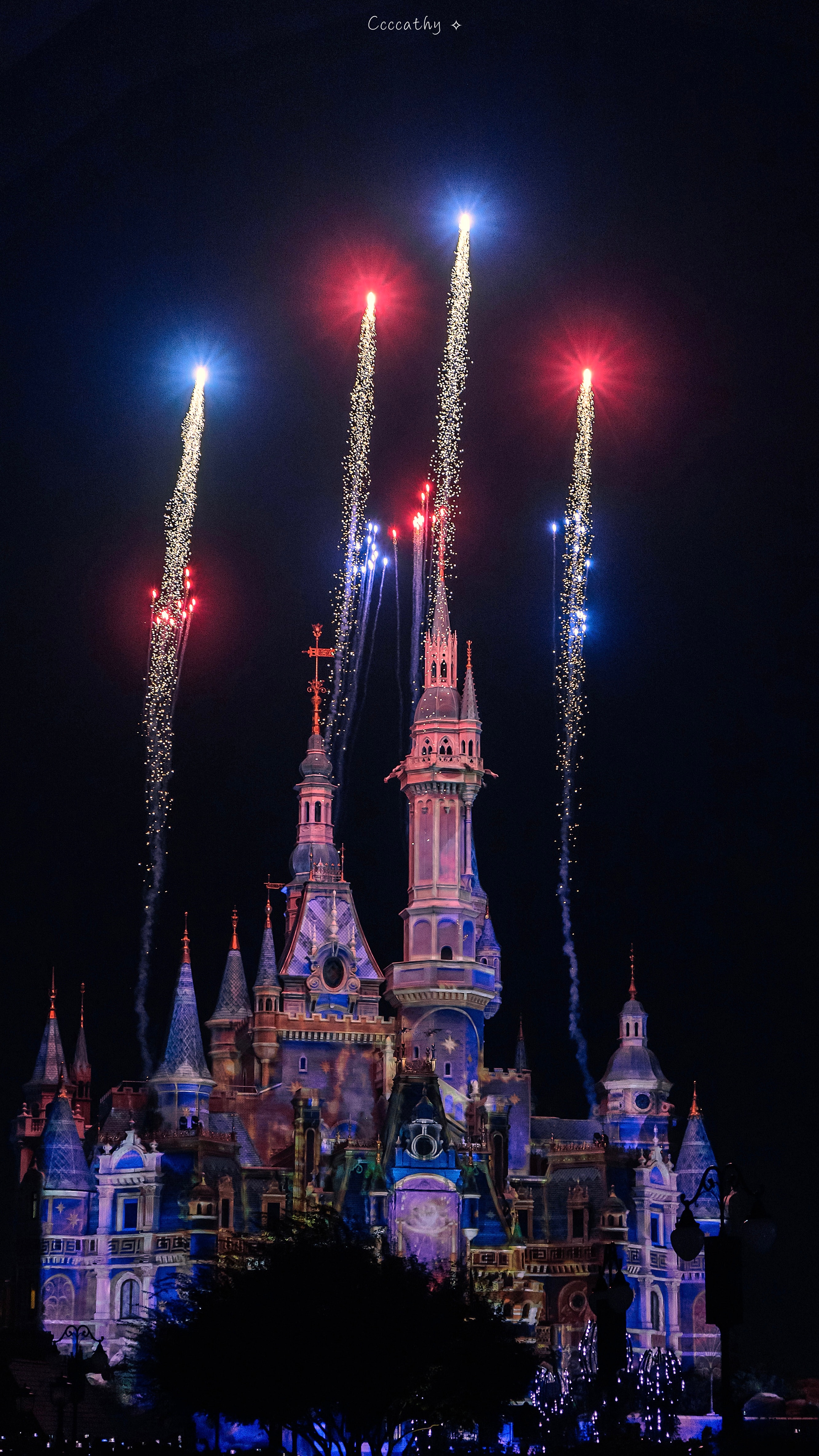 Fireworks lighting up the sky