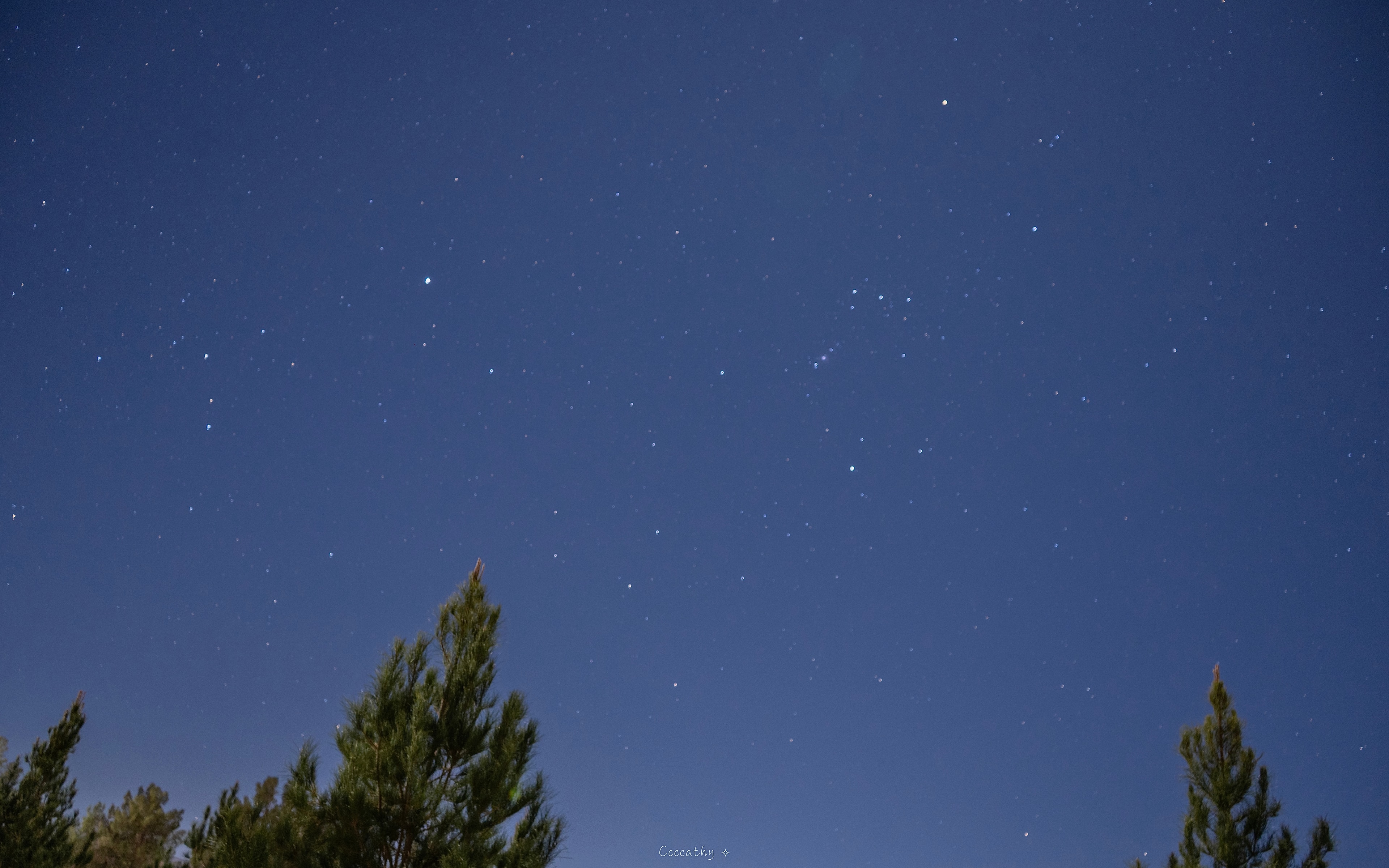 Star field over a night sky
