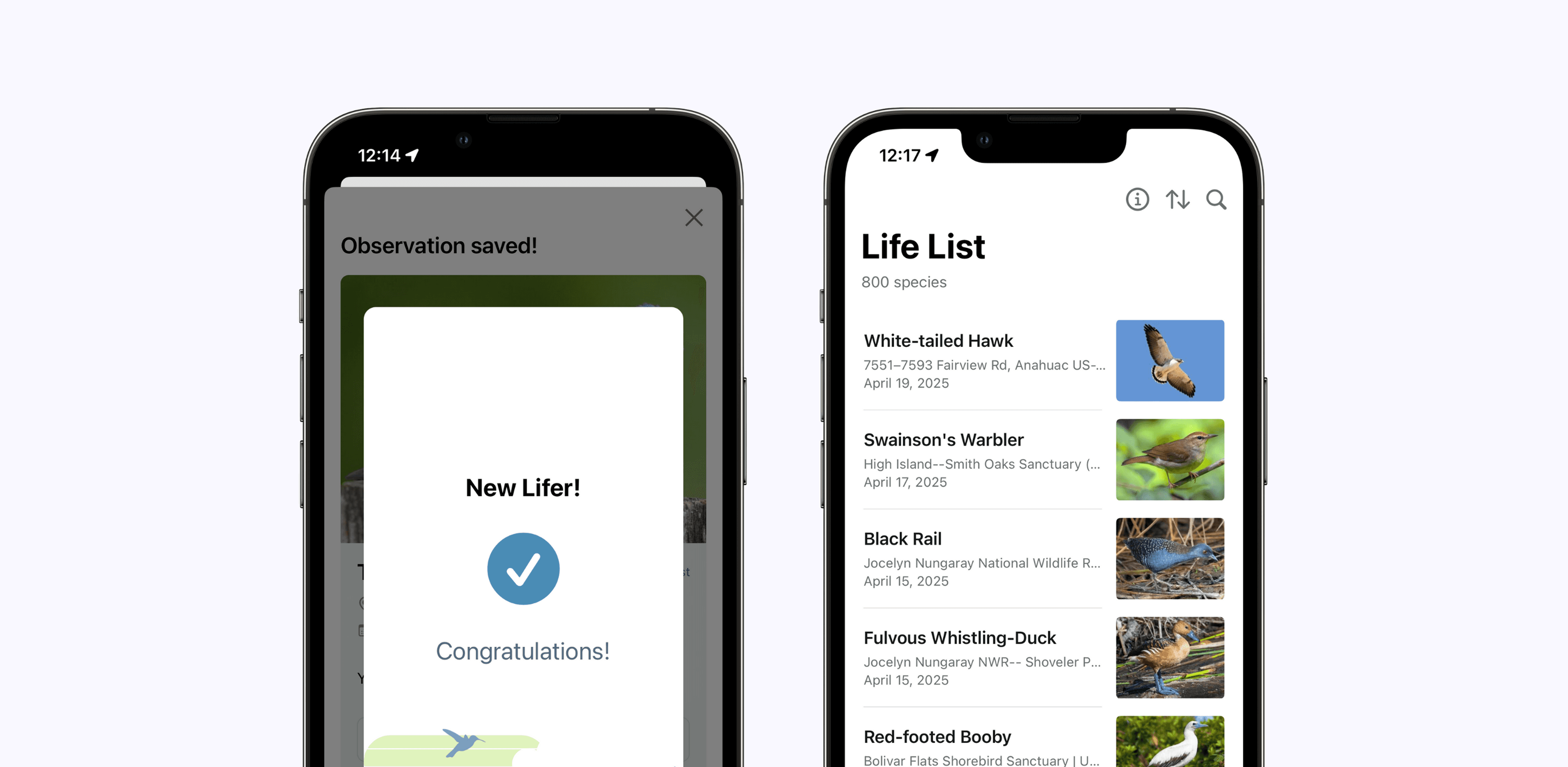 Current flow for listing birds people have encountered in current apps